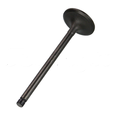 INTAKE VALVE A-EB01-207A forklift replacement part