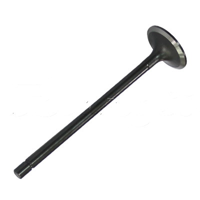INTAKE VALVE A-EB01-209A forklift replacement part