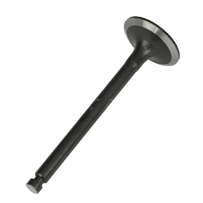 INTAKE VALVE A-EB01-233A forklift replacement part