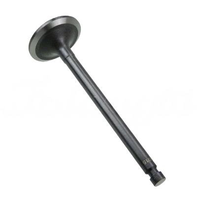 INTAKE VALVE A-EB01-234A forklift replacement part