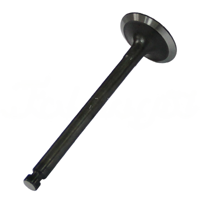 INTAKE VALVE A-EB01-236A forklift replacement part