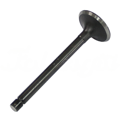 INTAKE VALVE A-EB01-266A forklift replacement part