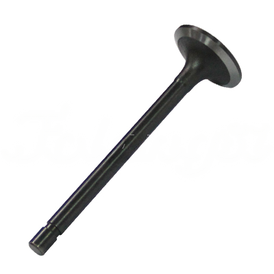 INTAKE VALVE A-EB01-271A forklift replacement part