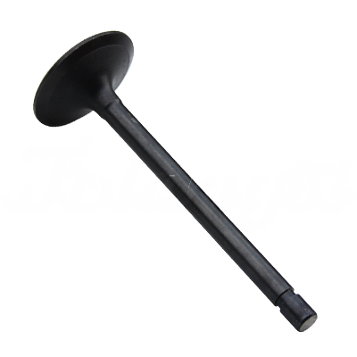 INTAKE VALVE A-EB01-272A forklift replacement part