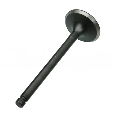 INTAKE VALVE A-EB01-303A forklift replacement part