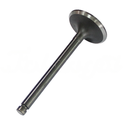 INTAKE VALVE A-EB01-304A forklift replacement part