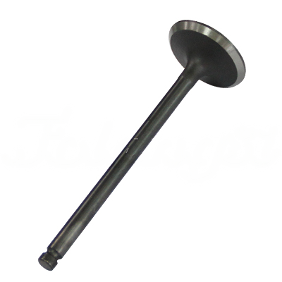 INTAKE VALVE A-EB01-311A forklift replacement part