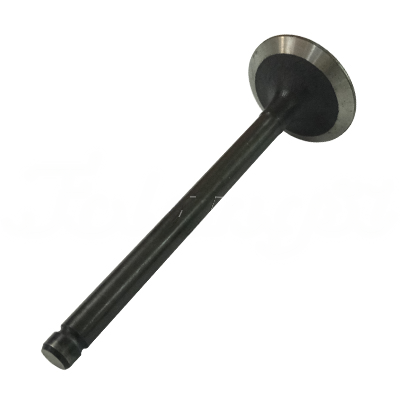 INTAKE VALVE A-EB01-331A forklift replacement part