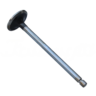 INTAKE VALVE A-EB01-335A forklift replacement part