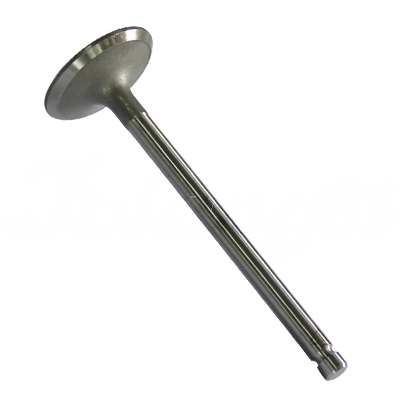 INTAKE VALVE A-EB01-442A forklift replacement part