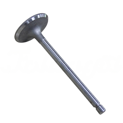 INTAKE VALVE A-EB01-491A forklift replacement part