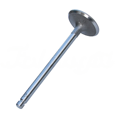INTAKE VALVE A-EB01-511A forklift replacement part