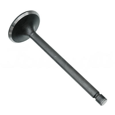 INTAKE VALVE A-EB01-532A forklift replacement part
