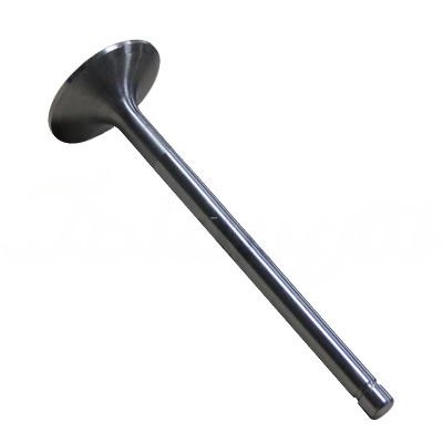 INTAKE VALVE A-EB01-553A forklift replacement part