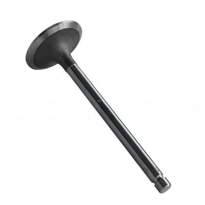 INTAKE VALVE A-EB01-618A forklift replacement part