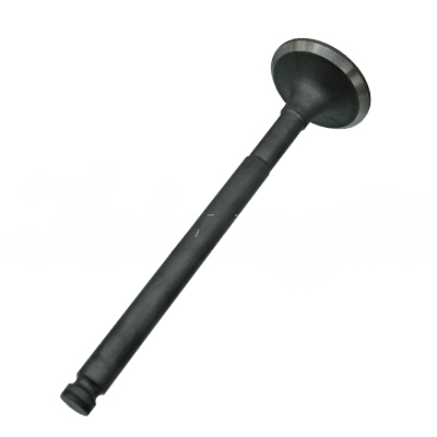 EXHAUST VALVE A-EB02-002A forklift replacement part