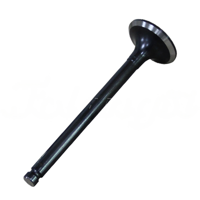EXHAUST VALVE A-EB02-003A forklift replacement part