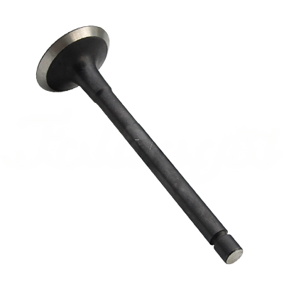 EXHAUST VALVE A-EB02-006A forklift replacement part