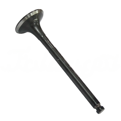EXHAUST VALVE A-EB02-011A forklift replacement part