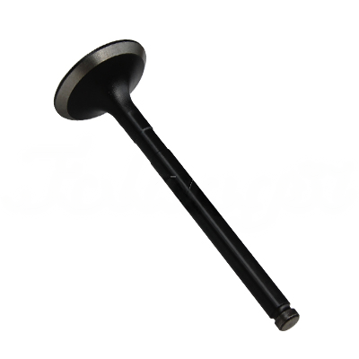 EXHAUST VALVE A-EB02-055A forklift replacement part