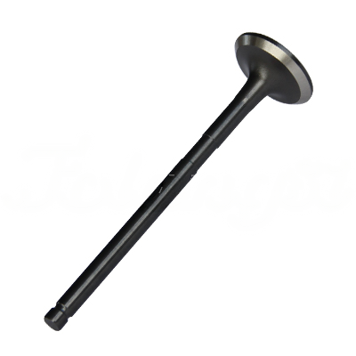 EXHAUST VALVE A-EB02-061A forklift replacement part