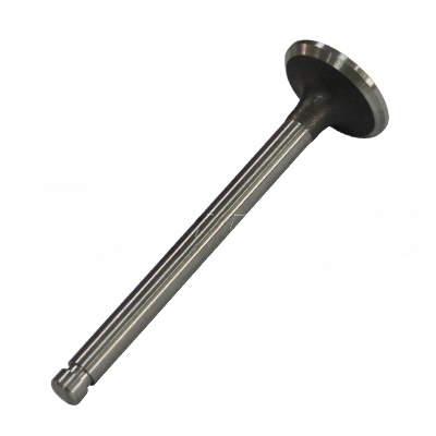 EXHAUST VALVE A-EB02-101A forklift replacement part