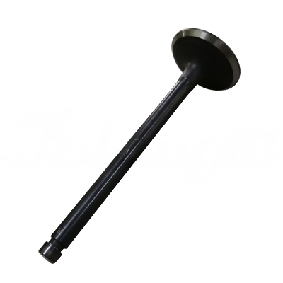 EXHAUST VALVE A-EB02-105A forklift replacement part