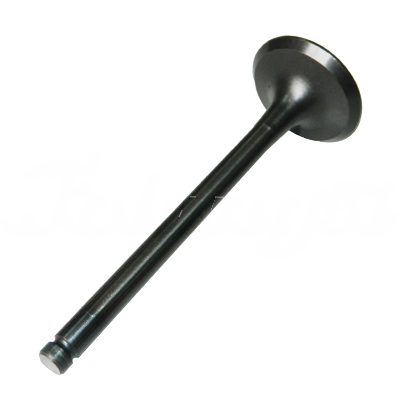 EXHAUST VALVE A-EB02-106A forklift replacement part