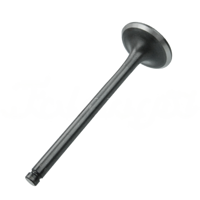 EXHAUST VALVE A-EB02-109A forklift replacement part