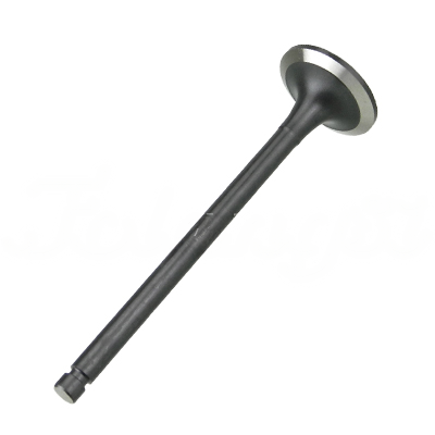 EXHAUST VALVE A-EB02-161A forklift replacement part