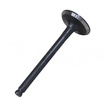 EXHAUST VALVE A-EB02-164A forklift replacement part