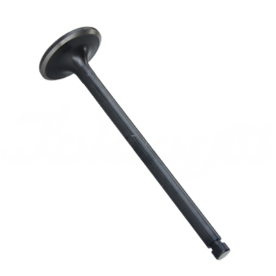 EXHAUST VALVE A-EB02-166A forklift replacement part