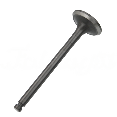 EXHAUST VALVE A-EB02-203A forklift replacement part