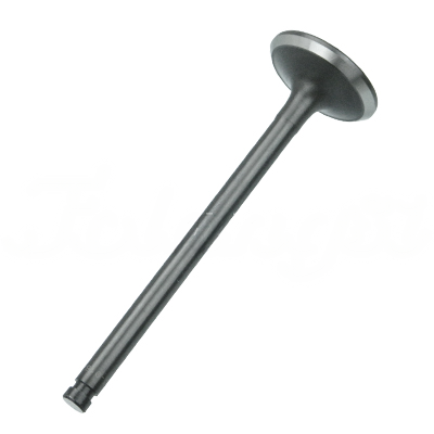 EXHAUST VALVE A-EB02-204A forklift replacement part