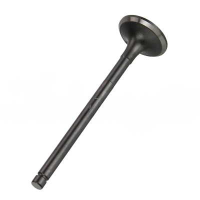EXHAUST VALVE A-EB02-207A forklift replacement part
