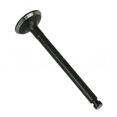 EXHAUST VALVE A-EB02-233A forklift replacement part