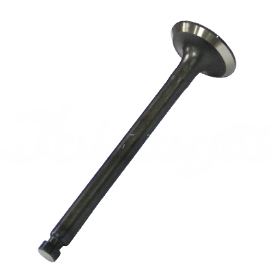 EXHAUST VALVE A-EB02-236A forklift replacement part