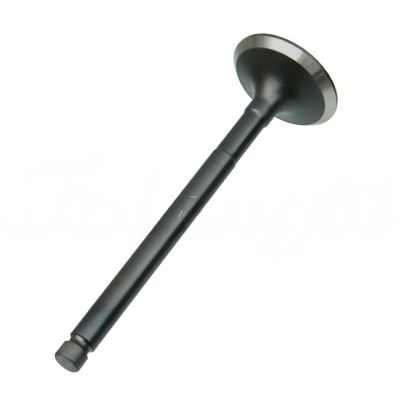 EXHAUST VALVE A-EB02-303A forklift replacement part