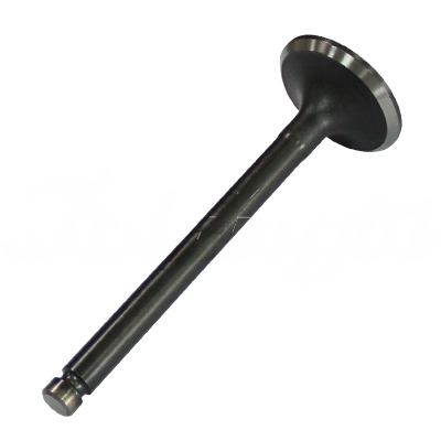 EXHAUST VALVE A-EB02-304A forklift replacement part