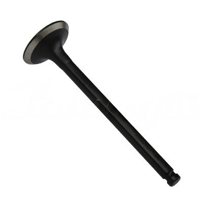 EXHAUST VALVE A-EB02-323A forklift replacement part