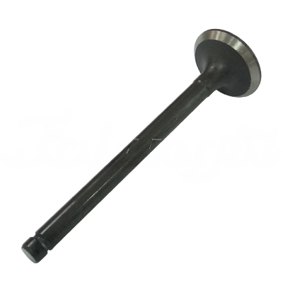 EXHAUST VALVE A-EB02-331A forklift replacement part