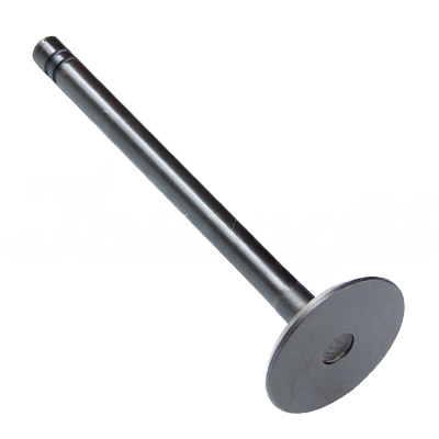 INTAKE VALVE A-EB01-013A forklift replacement part