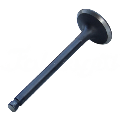 INTAKE VALVE A-EB01-059A forklift replacement part