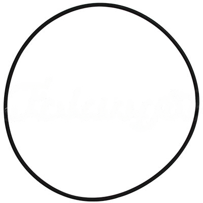 O-RING,CHARGING PUMP A-TP06-003A forklift replacement part