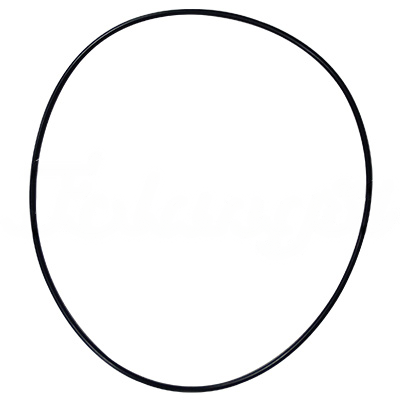 O-RING,CHARGING PUMP A-TP06-800A forklift replacement part